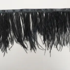 Black Ostrich Feather Trim 2 PLY