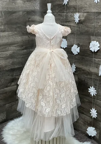 Lace High Low Party Dress