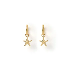 Sea Star Gold Earrings